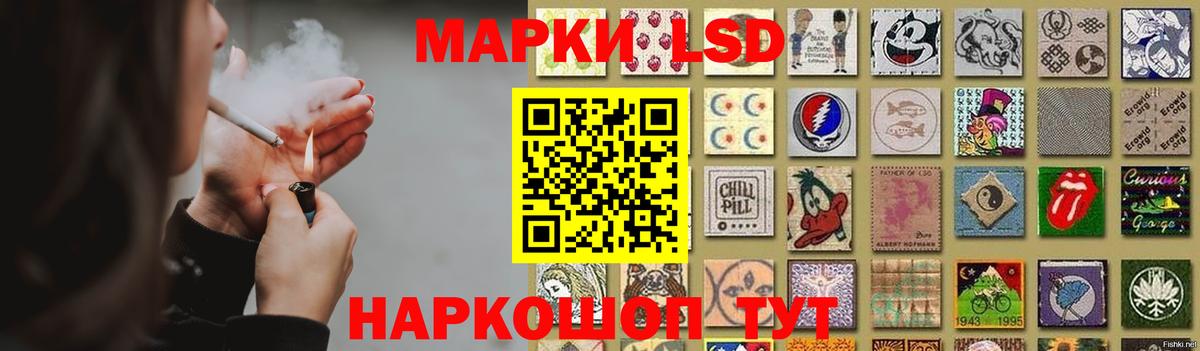МЕФ Великий Устюг