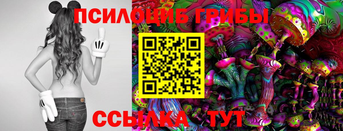 Галлюциногенные грибы мухоморы Великий Устюг